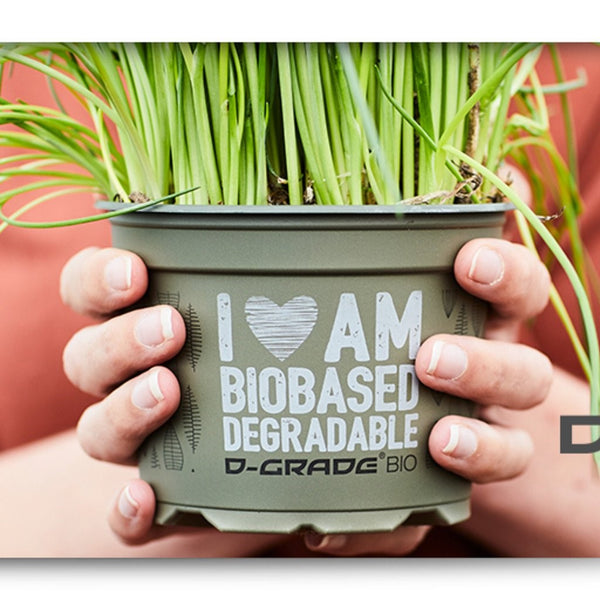 Biodegradable Pots - Here Now!