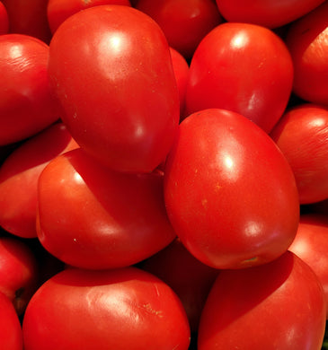 Tomato roma