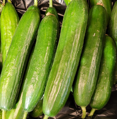 Cucumber, lebanese