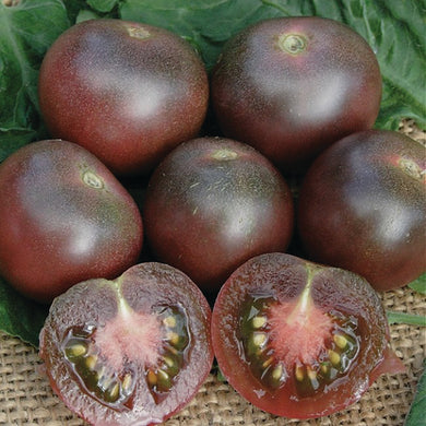 Tomato black cherry