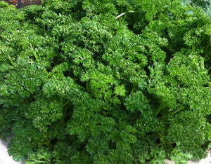 Parsley, inca