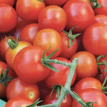 Load image into Gallery viewer, Tomato sweet cherry