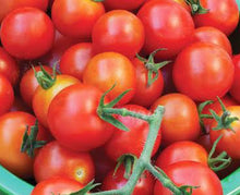 Load image into Gallery viewer, Tomato sweet cherry