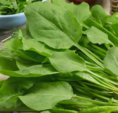 Sorrel, green de belleville