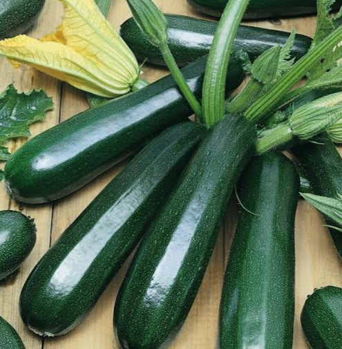 Zucchini, Black Jack